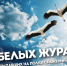 ДЕНЬ СВЕТЛОЙ ПАМЯТИ ВСЕХ СОЛДАТ - Заволжское городское поселение
